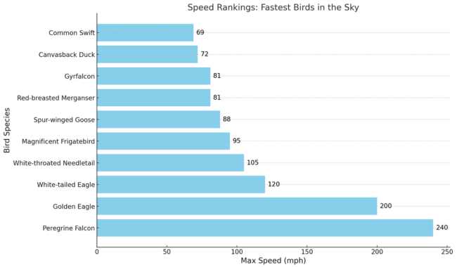 fastest birds: A BAR GRAPH OF Speed Rankings: A High-Flying List