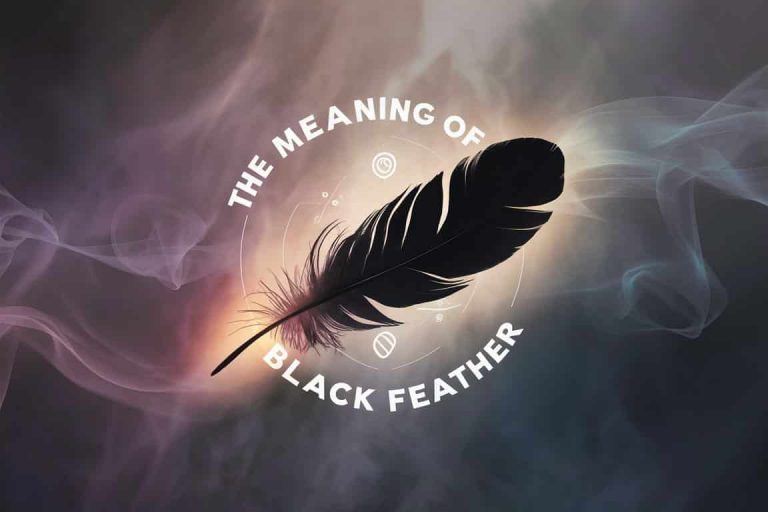 The Meaning of a Black Feather: Spiritual Symbolism Revealed