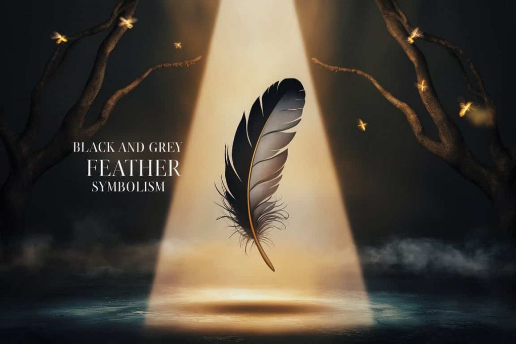Black and Grey Feather Symbolism A Spiritual Journey