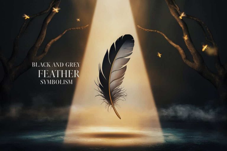 Black and Grey Feather Symbolism: A Spiritual Journey