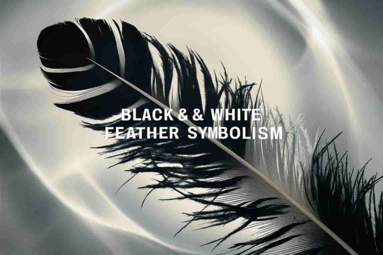 Black & White Feather Symbolism: Discover Hidden Meanings