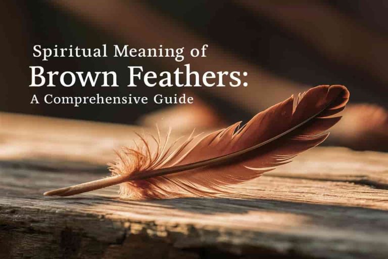 Spiritual Meaning of Brown Feathers
