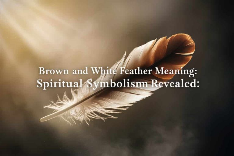 Brown and White Feather Meaning: Spiritual Symbolism