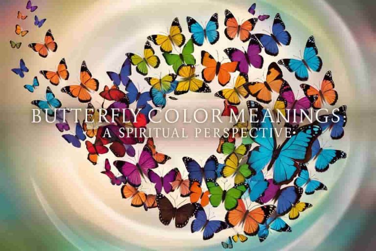 Butterfly Color Meanings: A Spiritual Perspective