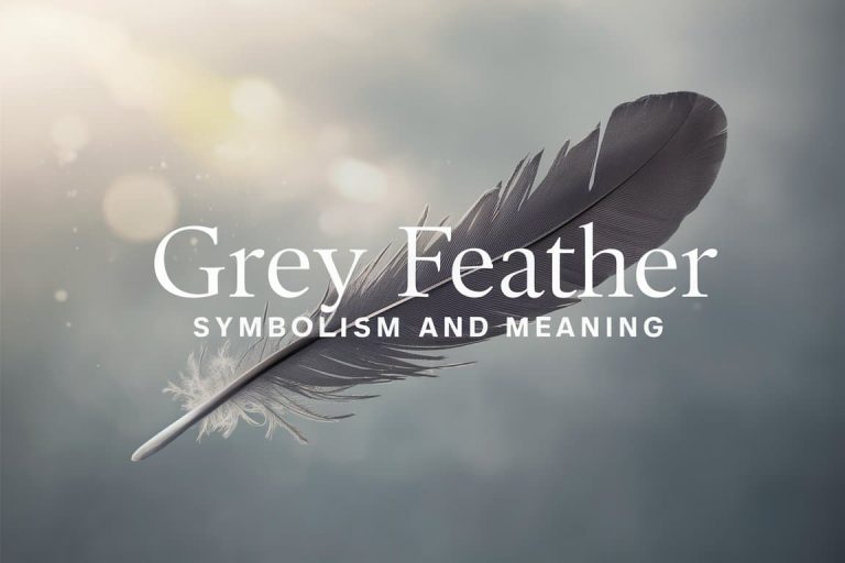 Grey Feather: Symbolism and Meaning