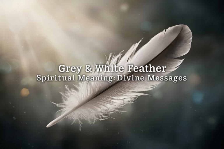 Grey and White Feather Spiritual Meaning: Divine Messages