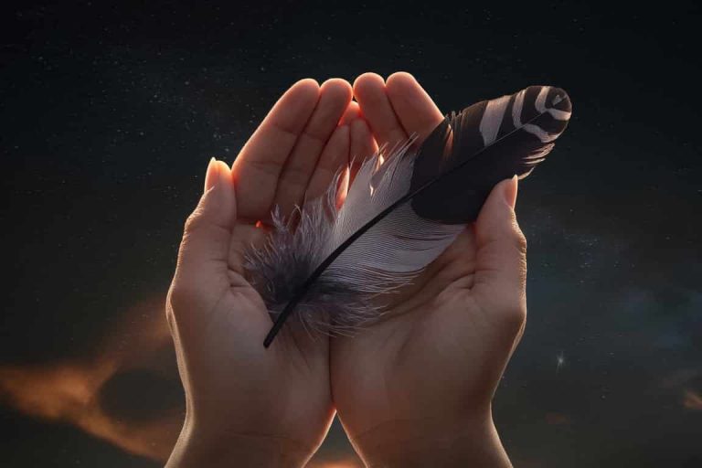 Message Feather Black and Grey Feather Symbolism: A Spiritual Journey
