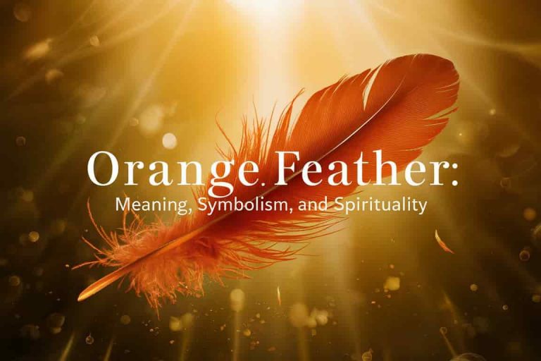 Orange Feather: Meaning, Symbolism, and Spirituality