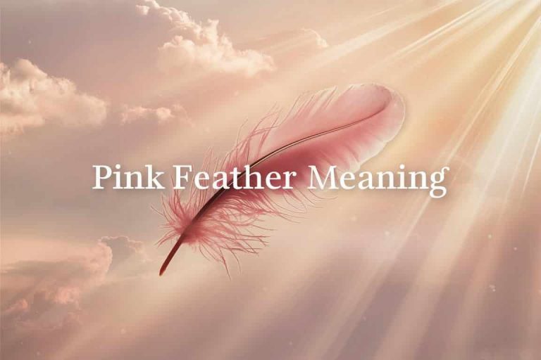 Pink Feather Meaning: Spiritual Symbolism Revealed