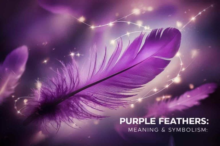 Purple Feathers: Meaning & Symbolism