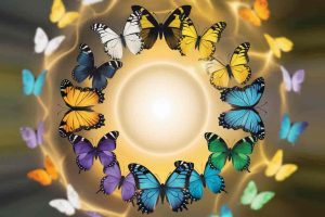 Butterfly in Your House: Spiritual Meanings