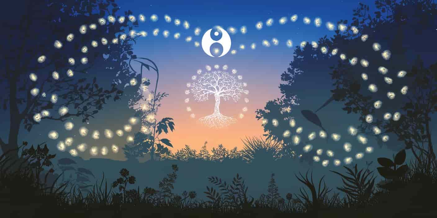 Symbolism & Spiritual Meaning of Lightning Bugs Nature's Guiding Light