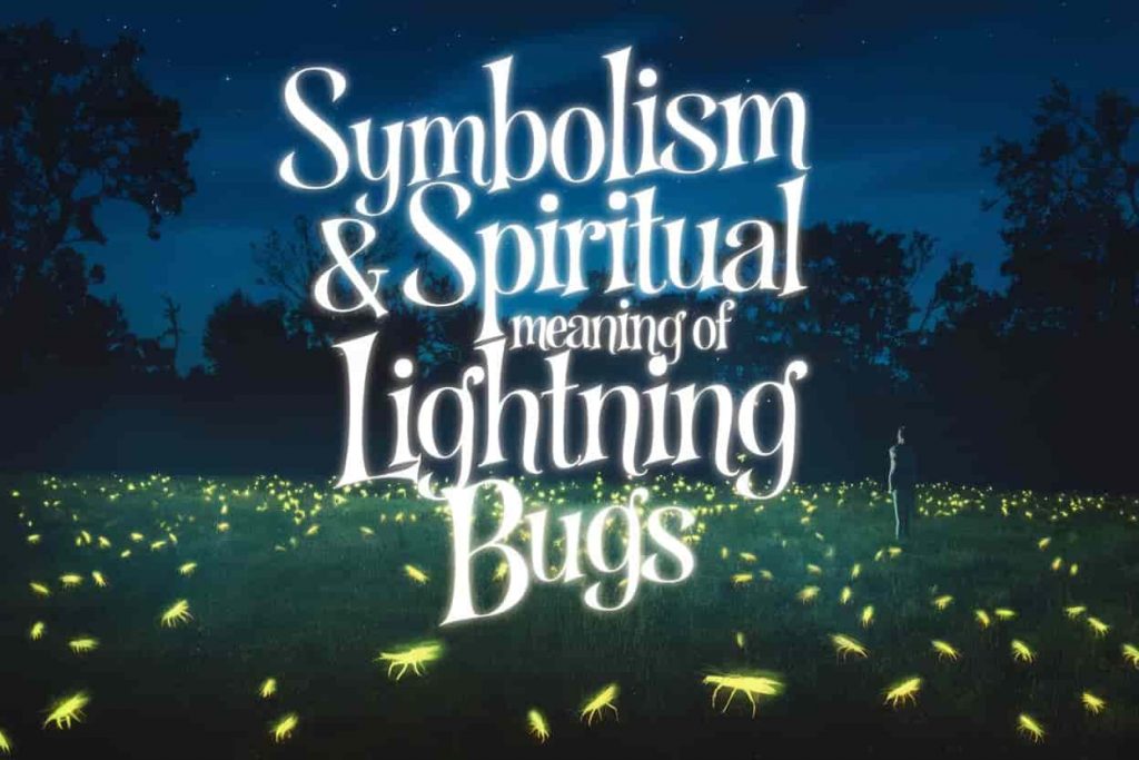 Symbolism & Spiritual Meaning of Lightning Bugs Nature's Guiding Light