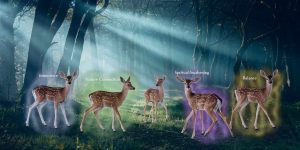 Fawn Spiritual Meaning and Symbolism: Messages & Interpretations