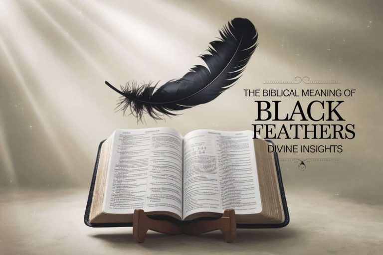 An image of a single black feather against a soft, ethereal background with rays of light. The title "The Biblical Meaning of Black Feathers: Divine Insights" displayed prominently.