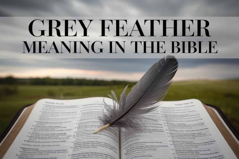 A grey feather rests on an open Bible showing Psalm 91, set against a serene landscape with a cloudy grey sky, illustrating the biblical meaning of grey feathers.