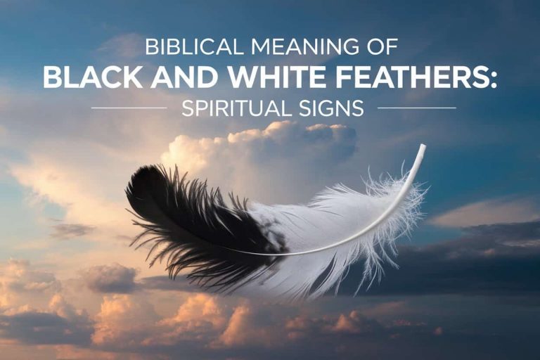 A striking image of a half-black, half-white feather floating in a dramatic sky with light and dark clouds, representing the biblical symbolism of black and white feathers. The title "Biblical Meaning of Black and White Feathers: Spiritual Signs" is displayed prominently in the image.