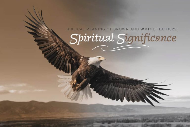 A majestic eagle soars through a sky transitioning from earthy brown tones to pure white. The eagle's wings are spread wide, showcasing brown feathers on one wing and white feathers on the other. This image symbolizes the biblical meaning of brown and white feathers, representing divine messages and spiritual significance in Christianity.