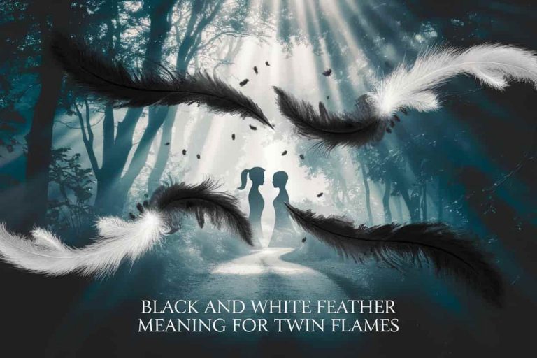Mystical forest scene with swirling black and white feathers, illuminated by rays of light, with two silhouettes representing twin flames, showcasing the spiritual symbolism of feathers in twin flame journeys. The title "Black and White Feather Meaning for Twin Flames" is shown.