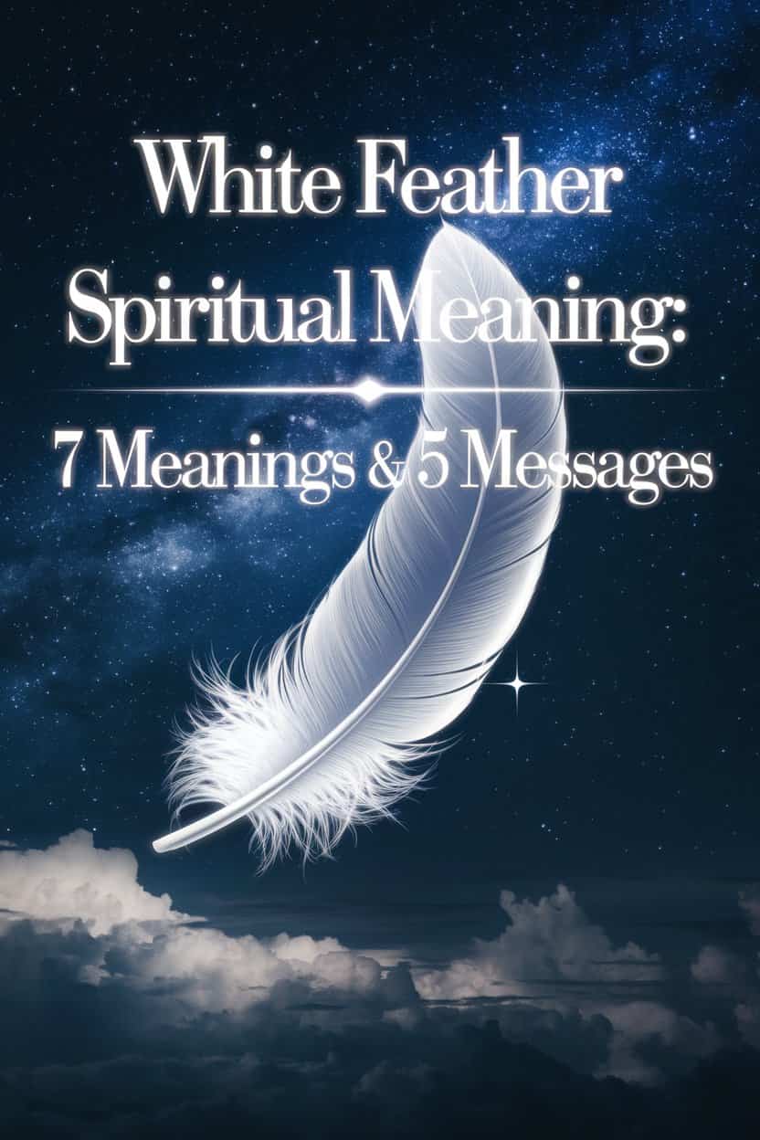 White Feather Spiritual Meaning 7 Meanings & 5 Messages