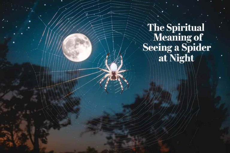 A mystical nighttime scene with a large, intricate spider web illuminated by moonlight. In the centre of the web, a spider with a subtle, ethereal glow. The background contains a starry sky and silhouettes of trees. The text "The Spiritual Meaning of Seeing a Spider at Night" is prominently displayed.