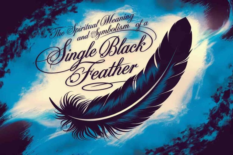 A lone black feather floating in a misty, ethereal space with glowing light, symbolizing spiritual insights and divine messages. The image title "The Spiritual Meaning and Symbolism of a Single Black Feather" appears in elegant script.