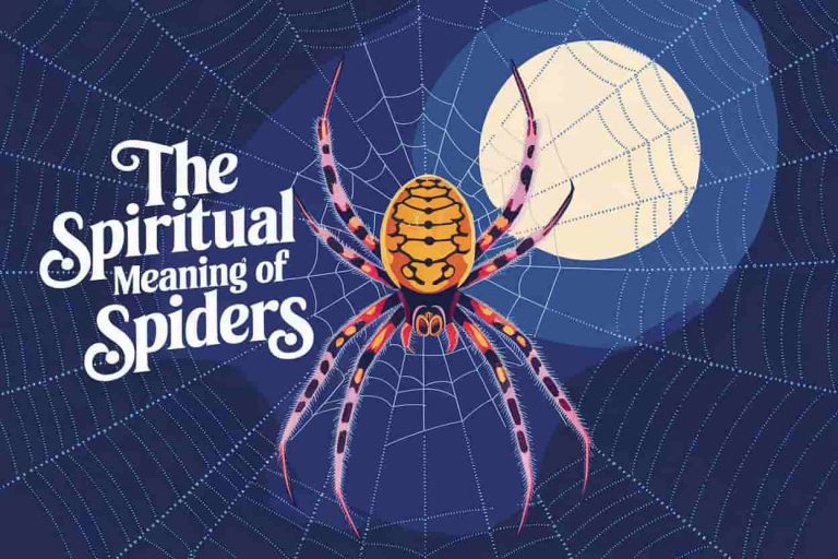 A vibrant pop art style image inspired by Peter Max, featuring a large, intricate spider web with dew drops, illuminated by soft moonlight. In the center, a golden orb-weaver spider sits, its legs forming a spiral pattern. Overlay the text "The Spiritual Meaning of Spiders" in an elegant, mystical font. The background has a deep blue, starry sky, suggesting mystery and spiritual depth.