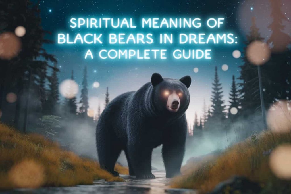 Spiritual Meaning of Black Bears in Dreams: A Complete Guide