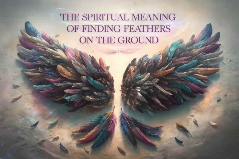A 3D rendered image displaying various colorful feathers on a glowing ground forming wing silhouettes, with the article title floating above, representing the spiritual significance of finding feathers.